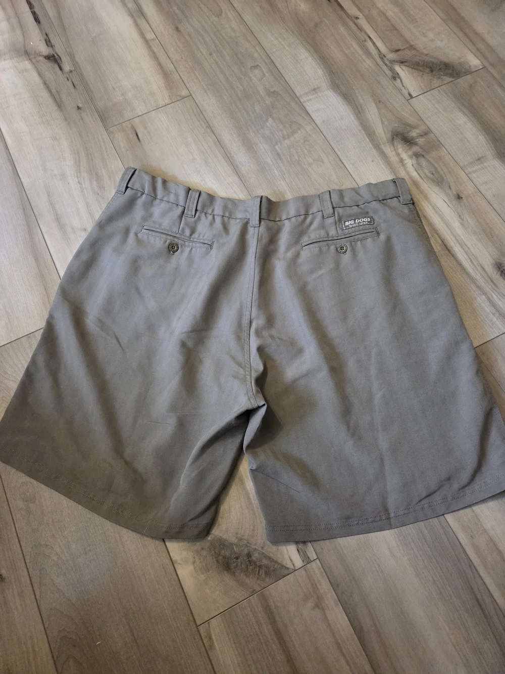 Big Dogs Men's Light Olive Flat Front Shorts